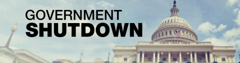 Government Shutdown